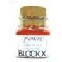 Blockx Pigmento per Artisti 026 rosso Venezia